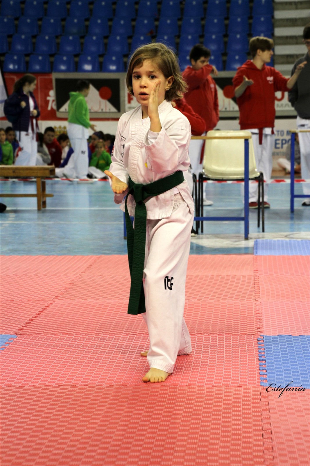 Taekwondo (46).jpg